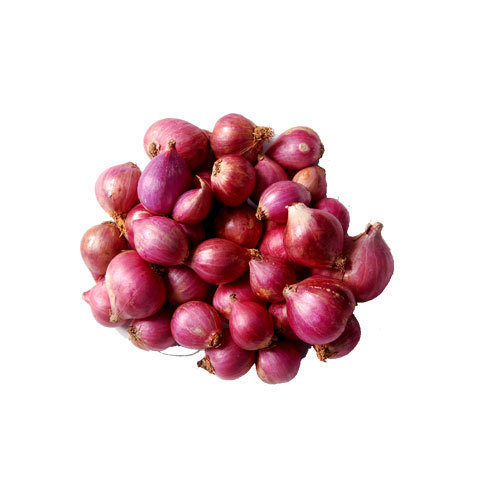 ONION
